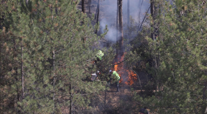 Orman yangını dumanı ziyanlı