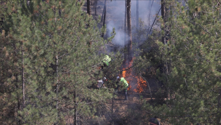 Orman yangını dumanı ziyanlı