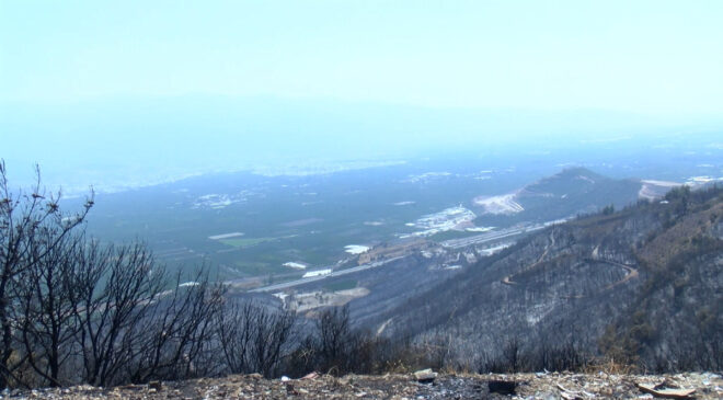 Orman yangınları sonrası teneffüs şikayetiyle hastanelere başvuranlar arttı