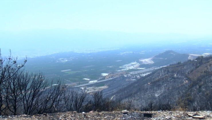 Orman yangınları sonrası teneffüs şikayetiyle hastanelere başvuranlar arttı