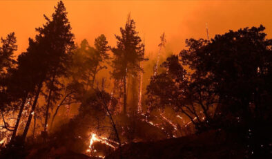 Orman yangınlarının yarısı ihmal ve dikkatsizlikten kaynaklanıyor