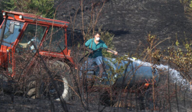 Sakarya’da otluk alanda yangın çıktı
