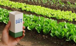 Sakın çöpe atmayın! Süt kutularını geceden bahçeye koyun o sıkıntıdan temelli kurtulun