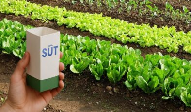 Sakın çöpe atmayın! Süt kutularını geceden bahçeye koyun o sıkıntıdan temelli kurtulun