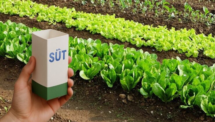 Sakın çöpe atmayın! Süt kutularını geceden bahçeye koyun o sıkıntıdan temelli kurtulun