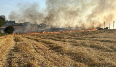 Samsun’da anız yangını çıktı