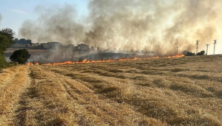 Samsun’da anız yangını çıktı
