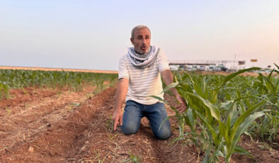 Şanlıurfa’da mısır tohumları ortasındaki fark çiftçiyi kızdırdı: Hakkımı arayacağım