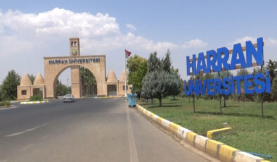 Şanlıurfa’da üniversitedeki başıboş köpekler muhafaza altındaki ceylanları parçaladı