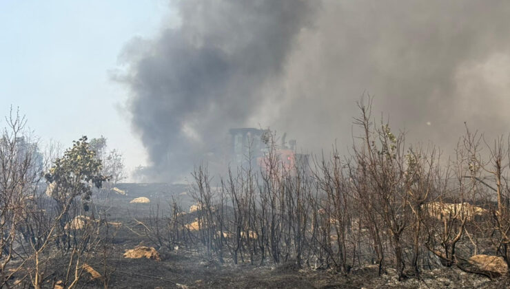 Şırnak’ta örtü yangını: Müdahale devam ediyor