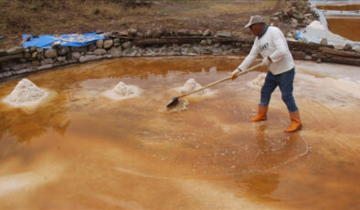 Sivas’ta çıkartılan ‘altın tuz’u ünlü şefler tercih ediyor