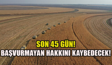 Tapu sahipleri dikkat: 45 gün mühlet verildi! Bakanlık müsaade almadan kiraya verebilecek