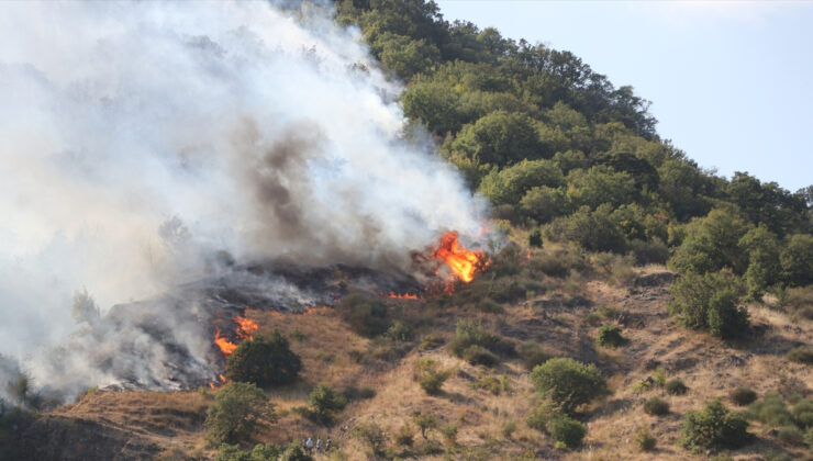 Tekirdağ’ın Şarköy ilçesinde yangın