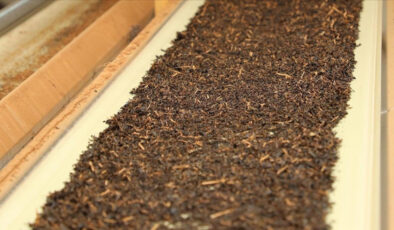 Tiryakilere makûs haber! Çay zamlandı: İşte yeni fiyatı