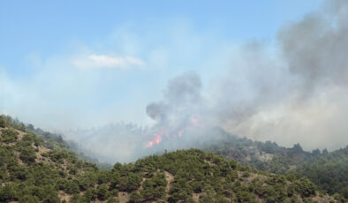 Tokat’ta çıkan orman yangınına müdahale devam ediyor