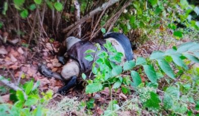 Trabzon’da 10 gün evvel kayboldu: Fındık bahçesinde cansız vücudu bulundu