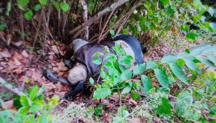 Trabzon’da 10 gün evvel kayboldu: Fındık bahçesinde cansız vücudu bulundu
