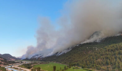 Türkiye orman yangınlarıyla gayrette alarmda