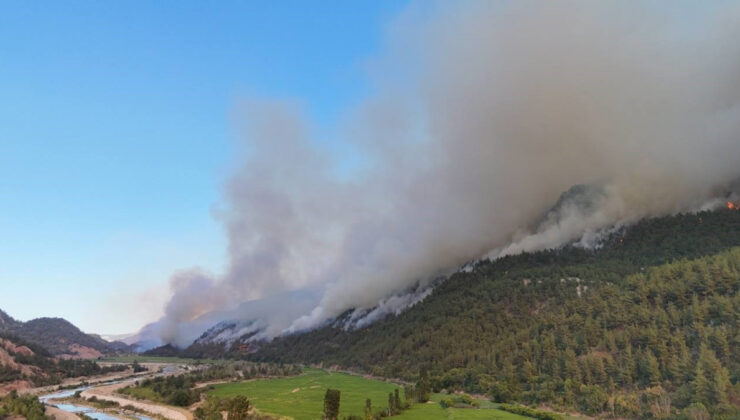 Türkiye orman yangınlarıyla gayrette alarmda
