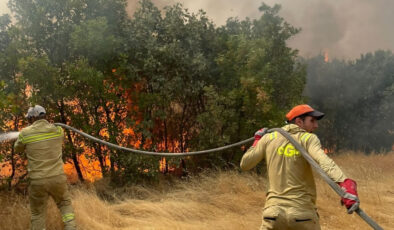 Türkiye’de bir ayda 12 bin 752 futbol alanı büyüklüğünde orman yandı