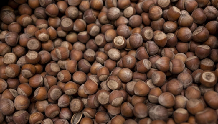 Türkiye’ye fındık ihracatından 2,4 milyar dolarlık yarar