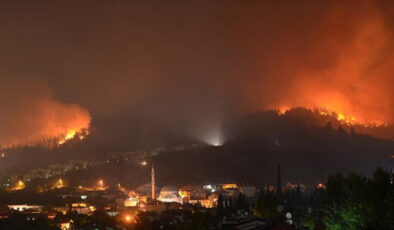Yanan 3 bin hektar ormanın dönüşümü için 100 yıl gerekli