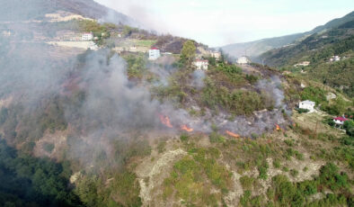 Yılın birinci 7 ayında toplam 4 bin 426 yangının çıktığı açıklandı