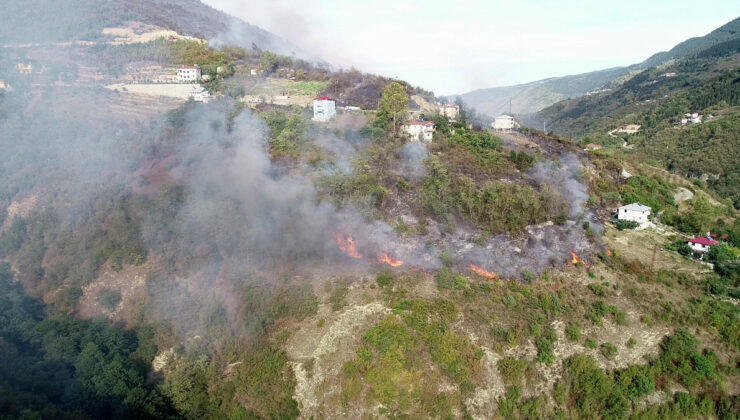 Yılın birinci 7 ayında toplam 4 bin 426 yangının çıktığı açıklandı