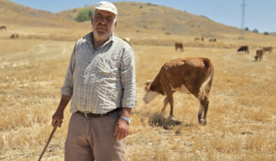 Yozgat’ta çobanlık yaparak sıhhatini koruyor