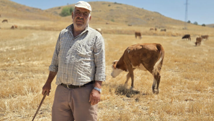 Yozgat’ta çobanlık yaparak sıhhatini koruyor