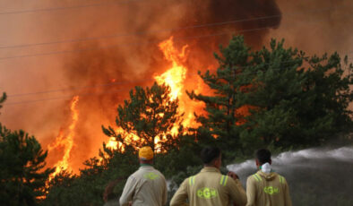 Yurt genelinde orman yangınlarıyla uğraşta son durum