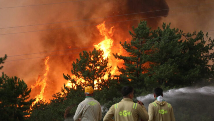 Yurt genelinde orman yangınlarıyla uğraşta son durum