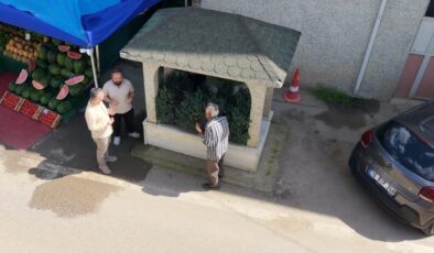 Bursa’da bir mahalleyi 3’e bölen gizemli mezar: Bakanlığa başvuruldu