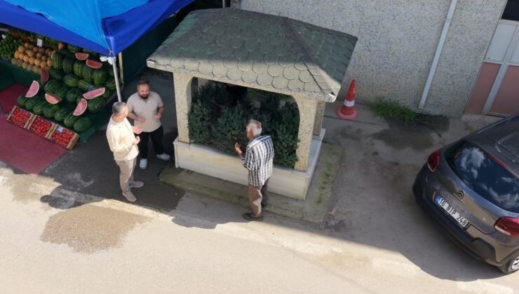 Bursa’da bir mahalleyi 3’e bölen gizemli mezar: Bakanlığa başvuruldu