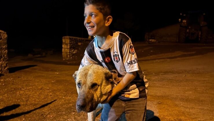 Erzurum’da ayıların amacı olan Sencar’ı kangal köpeği kurtardı
