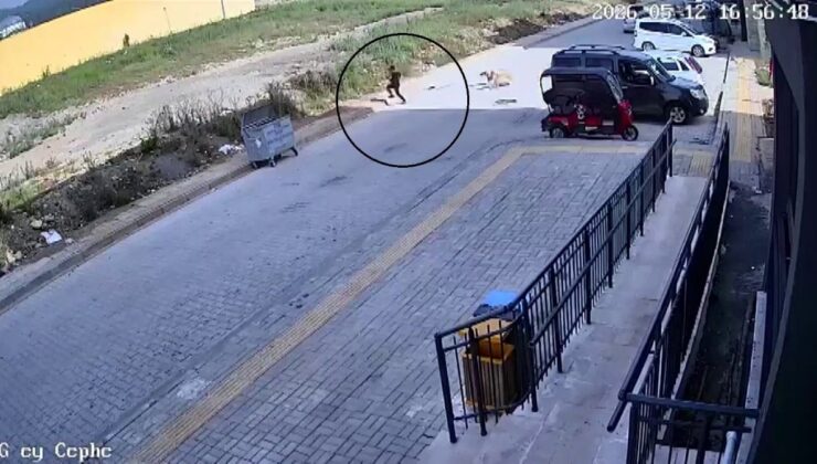 Hatay’da 7 yaşındaki çocuğa köpekler saldırdı