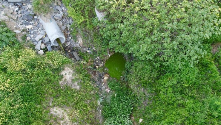 İstanbul’da suyun rengi yeşile döndü, vatandaşlar huzursuz oldu