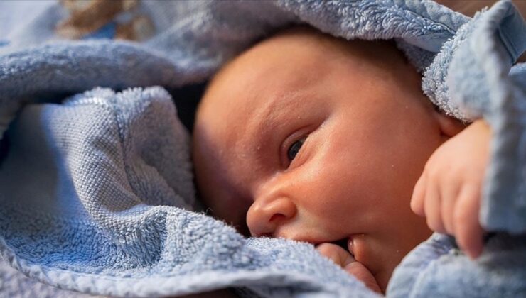 Kısırlık tedavisinde yeni devir: Yapay zeka sperm buluyor