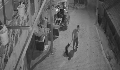 Kocaeli’de köpeği demir çubukla öldürdü: Tutuklandı