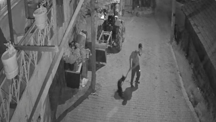 Kocaeli’de köpeği demir çubukla öldürdü: Tutuklandı