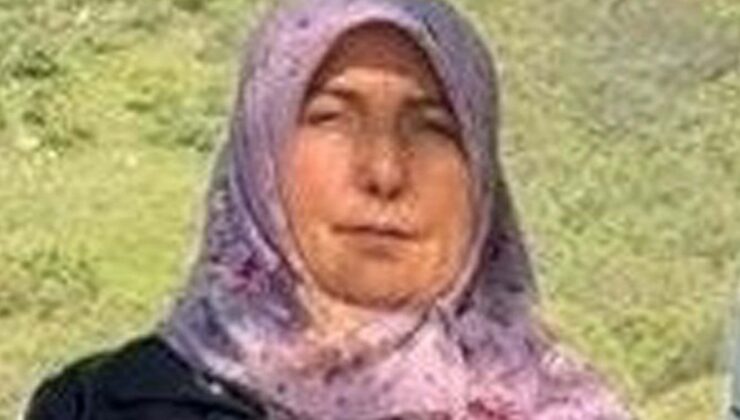 Manisa’da kamyon ile çarpışan arabadaki yolcu öldü