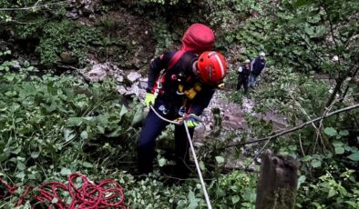 Sakarya’da fındık bahçesinde feci son: Uçuruma yuvarlanan yaşlı adam, hayatını kaybetti