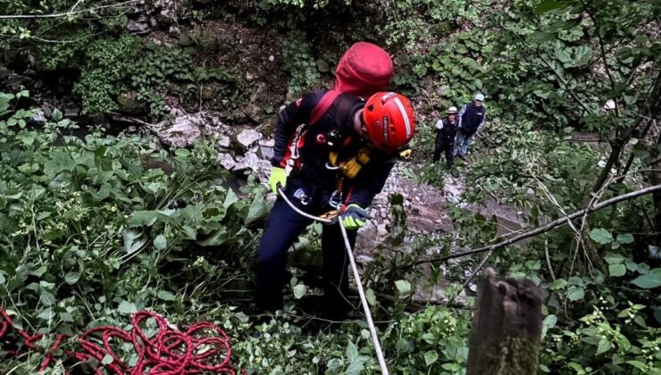 Sakarya’da fındık bahçesinde feci son: Uçuruma yuvarlanan yaşlı adam, hayatını kaybetti